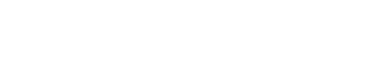 Buddyboss 文档